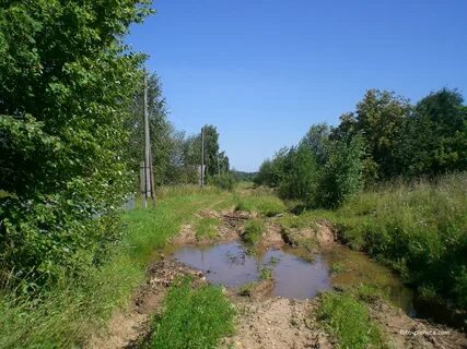 Погода в сорвижах кировская область