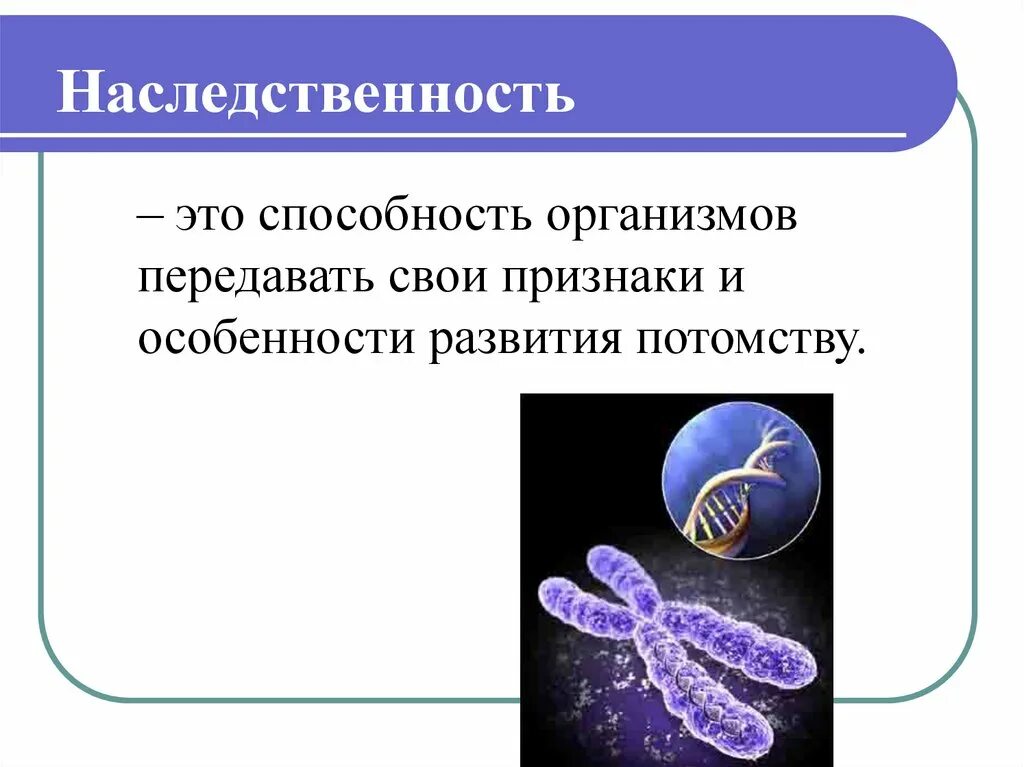 Особенности организма передавать свои признаки свойства. Генетика наследственность. Наследственность ДНК. Влияние наследственности. Генетика человека наследственность.