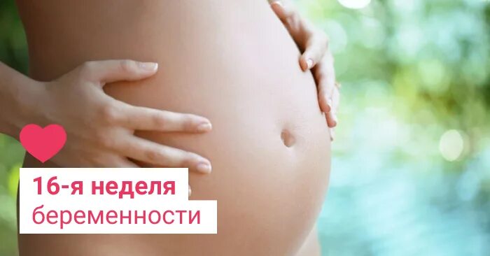 16 неделя б. Беременность в 16. Беременные 16 недель. Беременность в 16 недель фото плода и живота. Замершая беременность 16 недель.