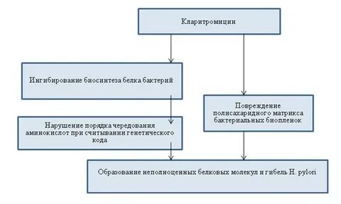 Кларитромицин побочные