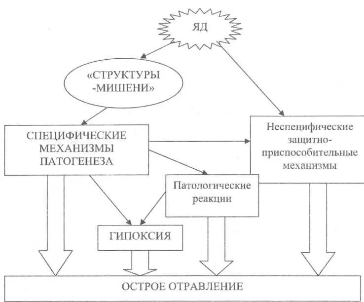 Патогенез острых отравлений. Патогенез отравления. Острые отравления патогенез отравлений. Патогенез острых интоксикаций. Отравление патогенез