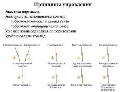 Взаимодействия по горизонтали