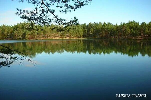 Озеро велино. Озеро ямм псковская область. Озеро велино псковская область. Озеро велино псковская область. Озеро велино псковская область.