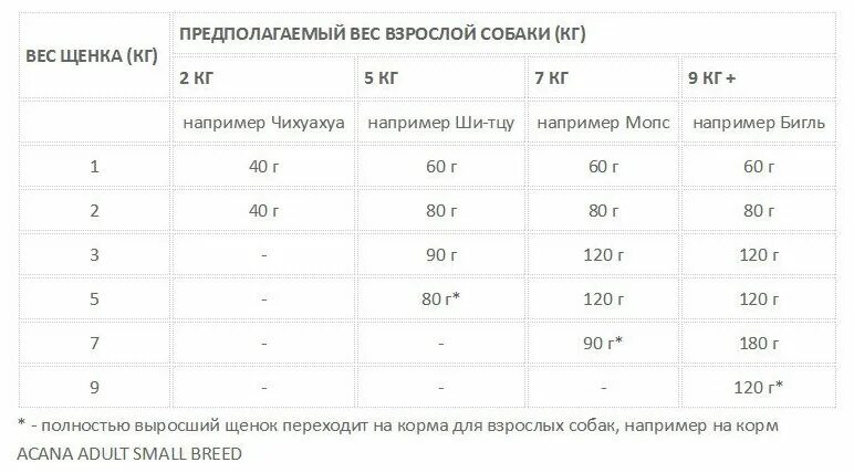 Сколько должна пить собака. Акана для щенков мелких пород норма. Acana для щенков мелких пород. Нормы кормления щенка чихуахуа. Нормы корма для щенка чихуахуа.