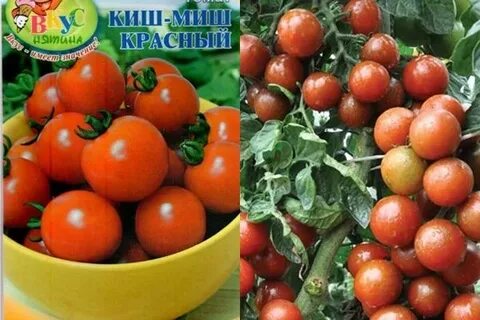 Черри кишмиш