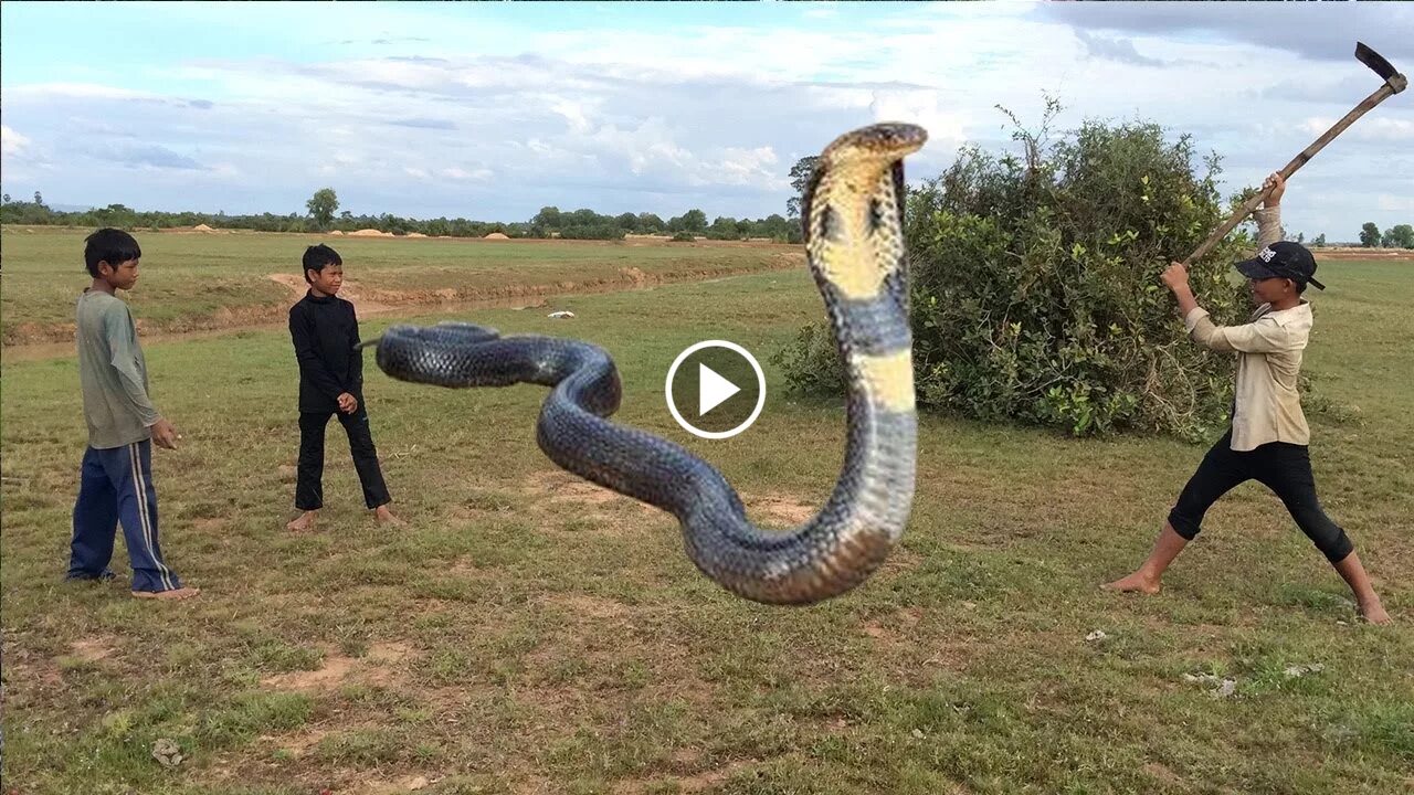 Большая змея в мире за всю историю