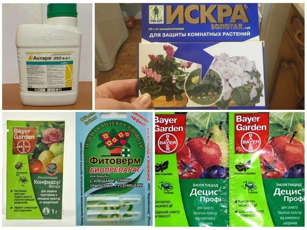 Препараты от тли на деревьях и кустарниках. Препараты от тли на плодовых деревьях эффективные. препарат от тли на деревьях плодовых. средство от тли на кустарниках. средства химии от тли на плодовых деревьях и кустарниках.