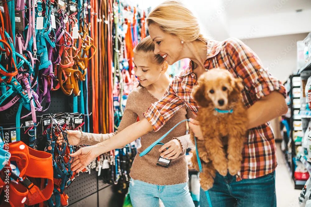Магазин животных. Зоомагазин животных. Товары для животных. Buy a pet. Buy a pet.