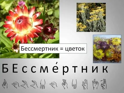 L название
