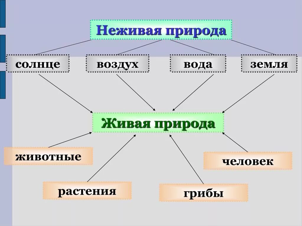 Неживая природа это. Элементы неживой природы. Объекты неживой природы 2 класс. Растения относятся к живой или неживой природе. Почва Живая и неживая природа.