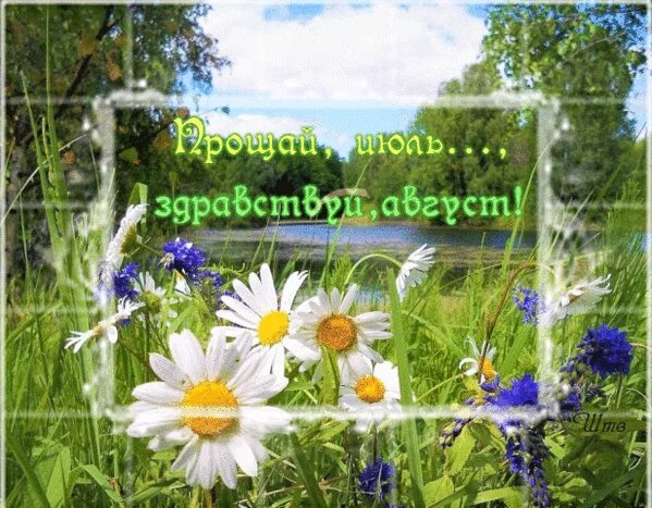 С последним летним месяцем. Прощай июль здравствуй август. с последним днем июля. открытки прощай июль. с первым днем июля.
