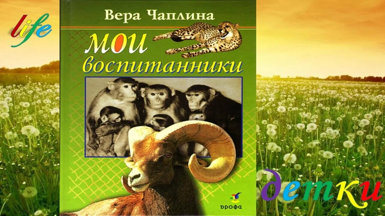 Чаплены рассказы о животных. Ежиное семейство чаплина рисунок. Чаплина аудиокнига. Чаплина аудиокнига. Чаплина аудиокнига.