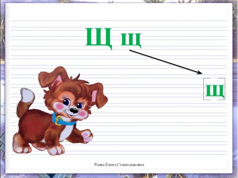 Письмо буквы щ. Письмо строчной буквы щ. Презентация щ. Написание буквы щ 1 класс. Звук щ буква щ презентация