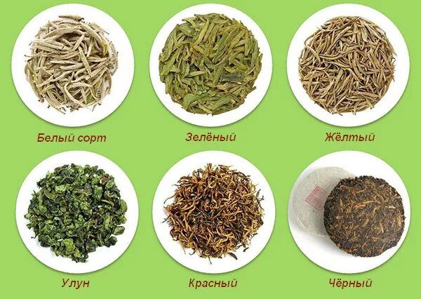 Сколько сортов зеленого чая. Китайский чай для похудения. Китайский чец дояипохудения. Китайский зеленый чай для похудения. Китайский зелёный чай сорта.