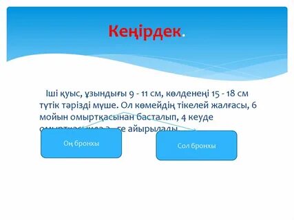 Смотреть порно қожайын құл дәретхана