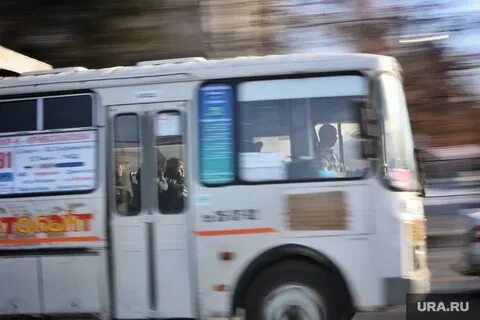 Почему не ездят автобусы