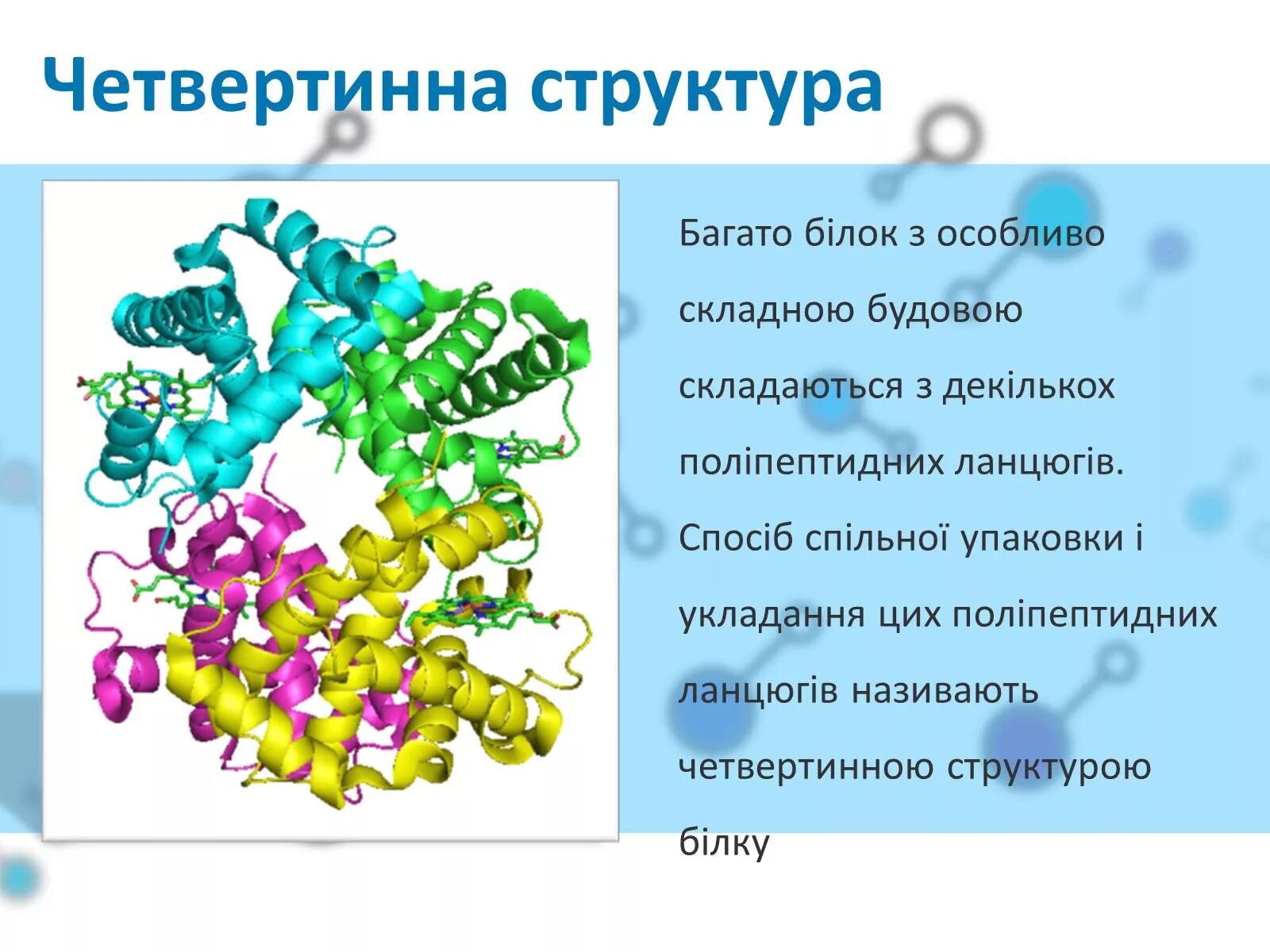 Белок 6 класс биология. Четвертичная структура белка химия. Четвертичная структура белка это структура. Белки химия четвертичная структура. Белок презентация.