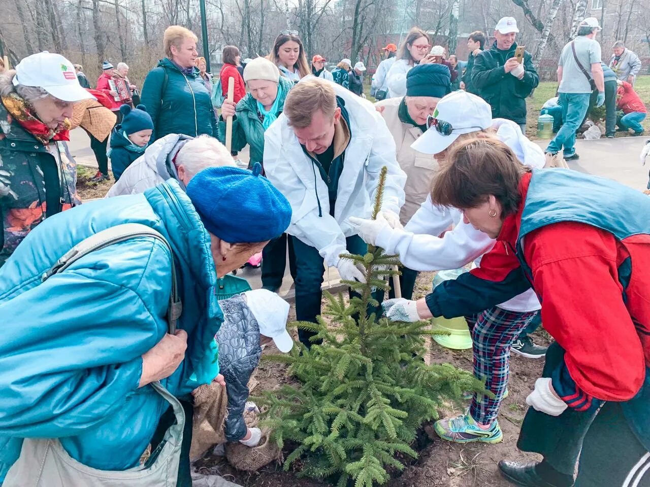 Парк долголетия. Московское долголетие в Бабушкинском районе. Долголетие в Лосиноостровском районе. Московское долголетие Ярославский район. ТЦСО Лосиноостровский.