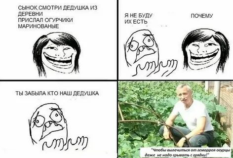 Почему сел берет