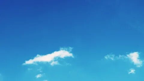 Gig sky