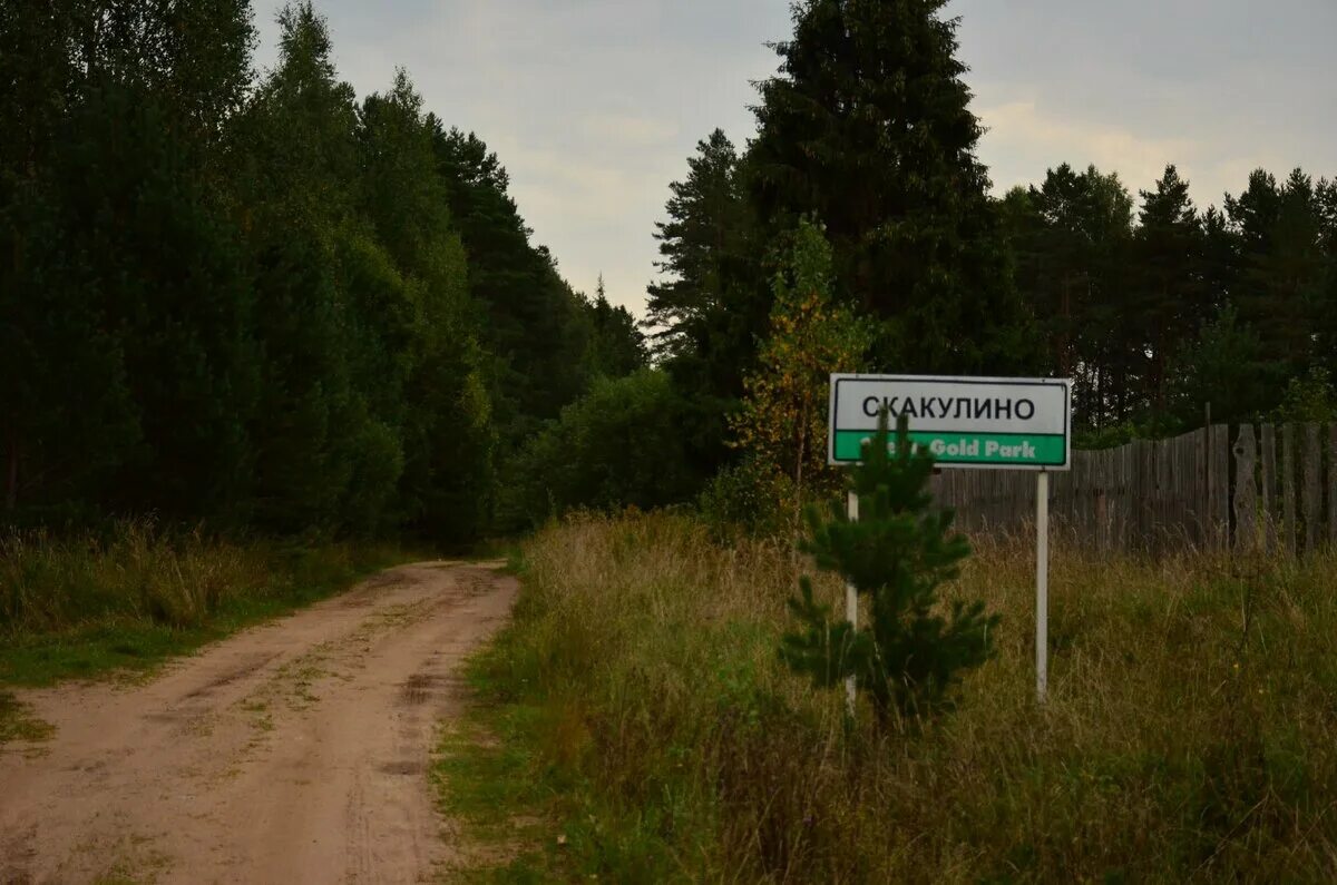 Деревня Скакулино Тверская область. Деревня Скакулино Селижаровский район. Станция Скакулино. Село Селижарово Тверской области. Погода в селижарово на 10