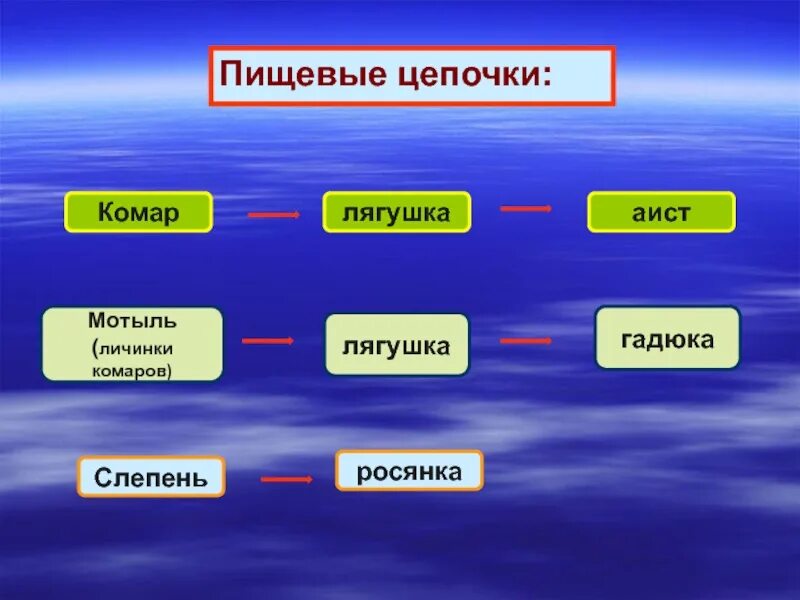 Цепь питания из 2 звеньев. Пищевые Цепочки 5 класс биология. Цепи питания 5 кл биология. Пищевые Цепочки 2 класс окружающий мир водоем.