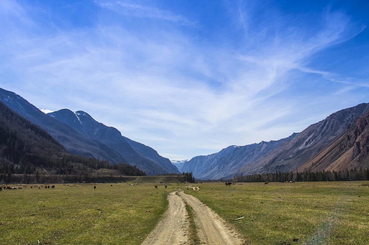 Акташ алтай. Акташ горный Алтай. Село Акташ Республика Алтай. Села Акташ в Республике Алтай. Поселок Акташ горный Алтай.