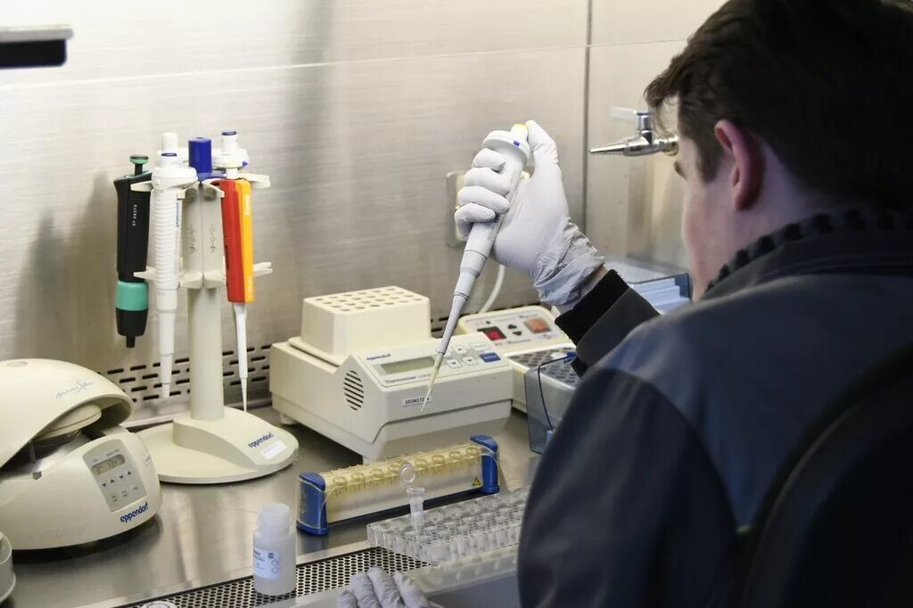 цели и задачи криминалистической идентификации. медико криминалистическое исследование. медико криминалистическое исследование. Mediko kriminalisticheskiy stereomikroskop. методология судебной медицины.