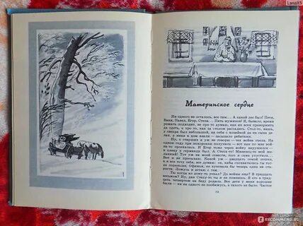 Рассказы абрамова 7 класс