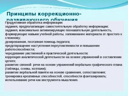 Принцип коррекционного воспитания и обучения