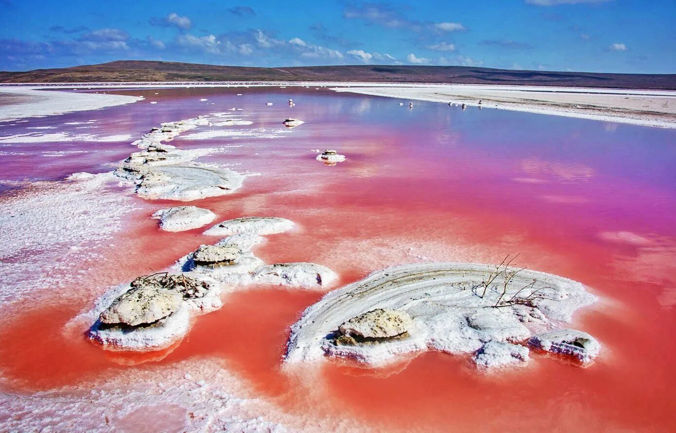 Соленое розовое озеро. Соленое розовое озеро кояшское. Озеро ретба. Кояшское озеро керчь. Розовое соленое озеро в крыму.