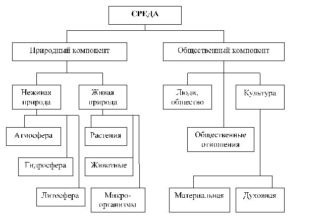 Части окружающей среды человека. Изобразите схему взаимодействий между компонентами окружающей среды. Элементы среды. Схема человек окружающая среда. Компоненты природной среды.