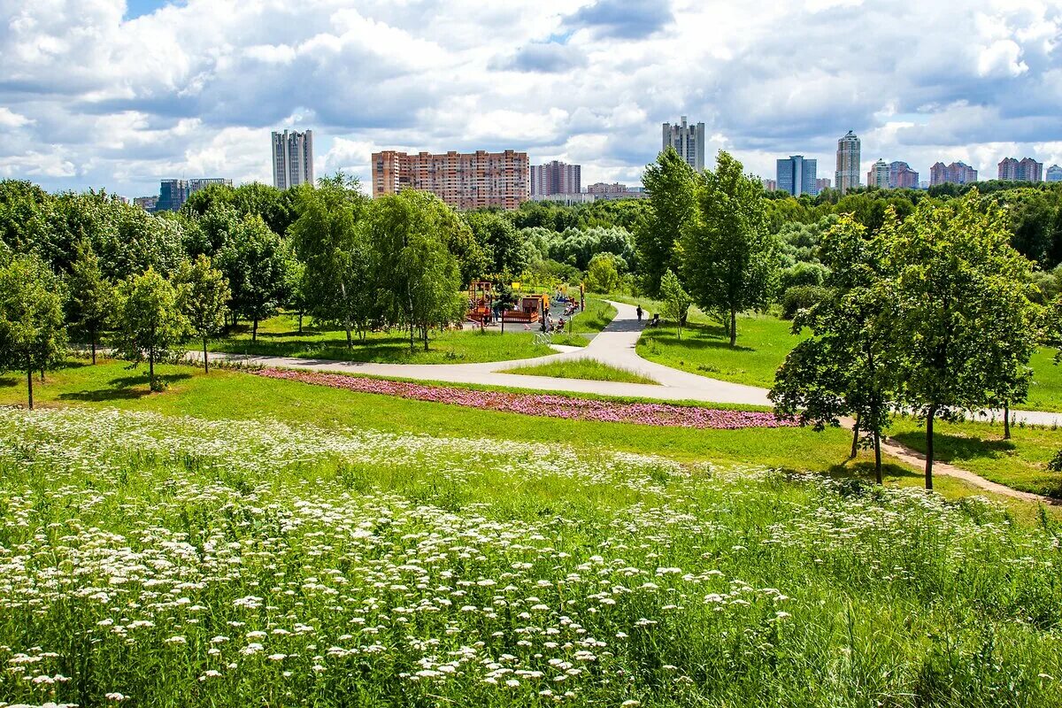 Парк 50-летия октября Москва. Проспект Вернадского парк. Мичуринский проспект парк 50 летия октября. Парк Раменки. Городские парки москвы