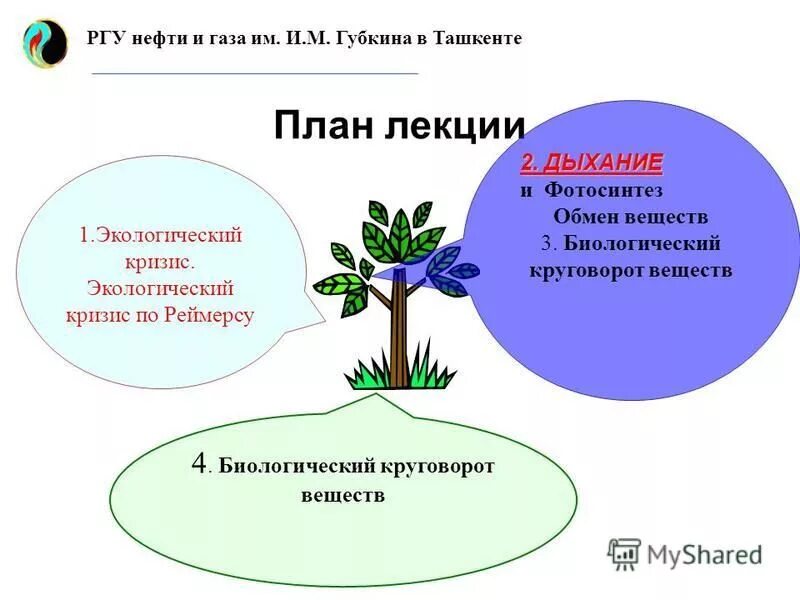 Роль ландыша в биологическом круговороте. Фотосинтез круговорот веществ. Обмен веществ дыхание фотосинтез. Роль фотосинтеза в круговороте веществ. Роль фотосинтеза для растений.