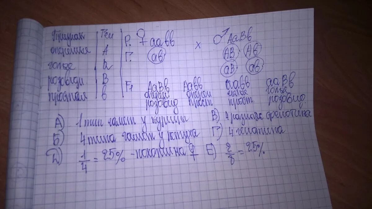 Скрестили гомозиготного петуха имеющего гребень и оперенные ноги. Скрестили гомозиготного петуха. У кур укороченные ноги доминируют над. У кур оперенные ноги доминируют над голыми.