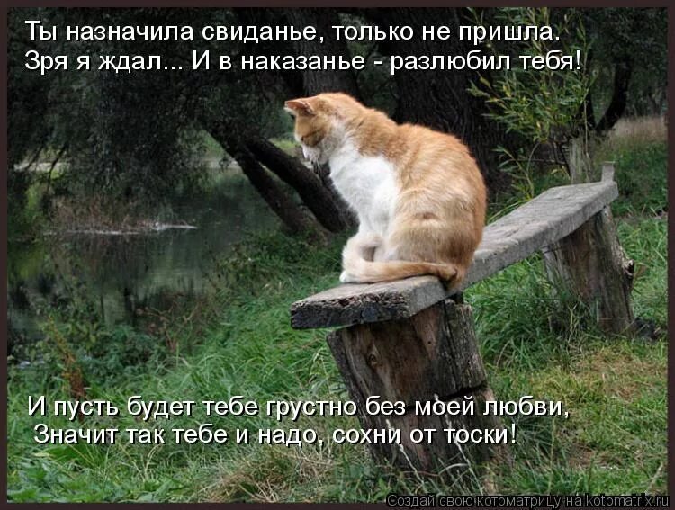 Жду демотиватор. Статусы про настроение. Ты пришла и стало хорошо. Удачи вам пацаны. А полюбят тебя за другое стихотворение.