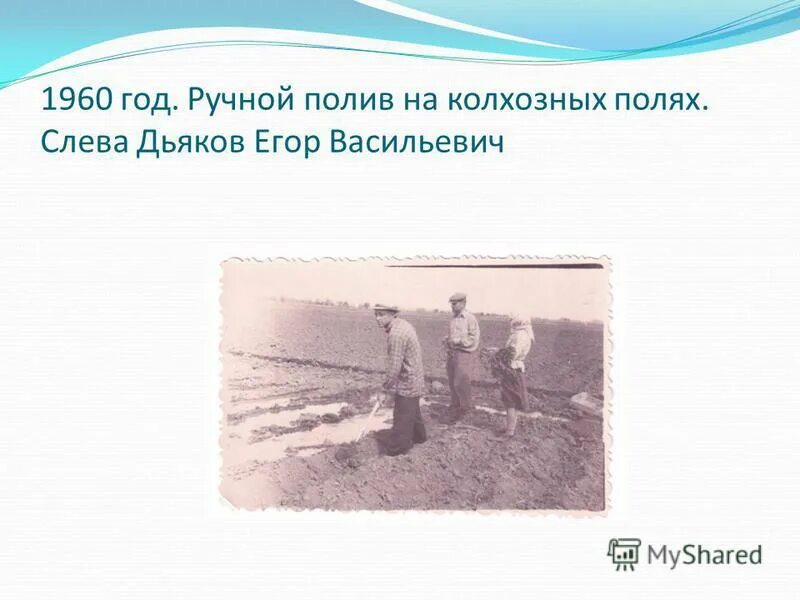 слева было поле