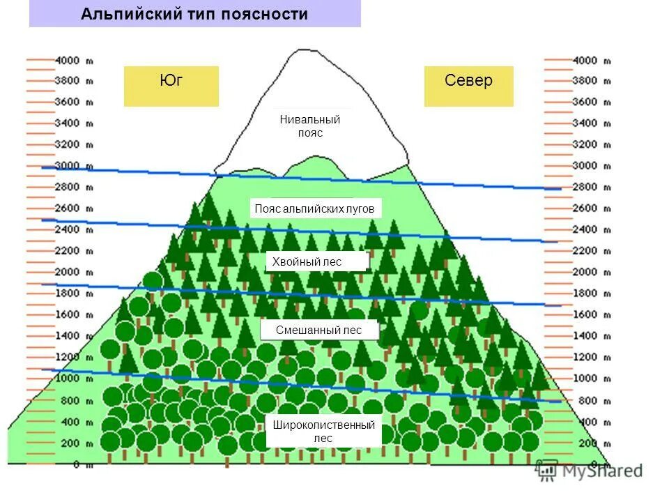 Схема ВЫСОТНОЙ поясности Альп. Высотная поясность гор. Природные зоны ВЫСОТНОЙ поясности. Высотная поясность в горах.