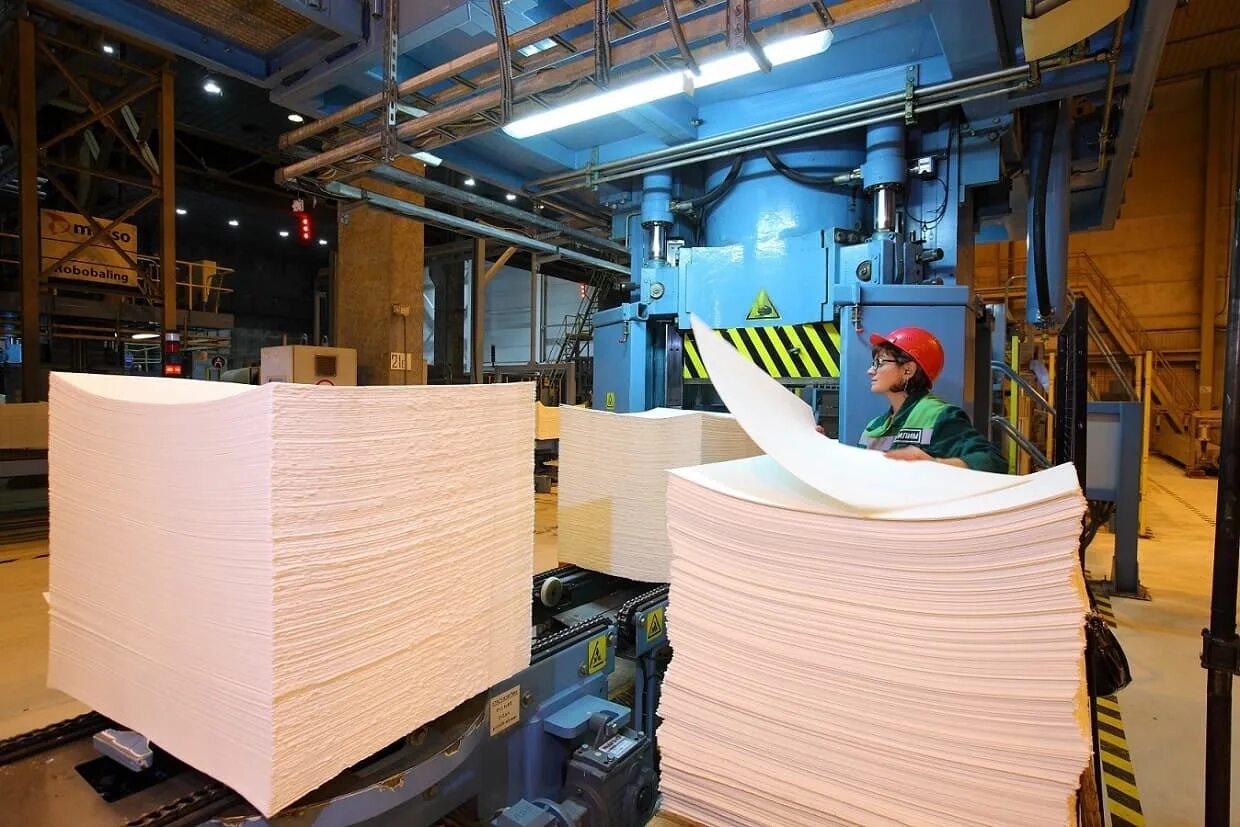 Заводу бумага производители. Илим целлюлозно-бумажный комбинат. Целлюлозно-бумажный завод в Братске. Лесная промышленность целлюлозно бумажная промышленность. Лесной комплекс целлюлозно бумажная промышленность.