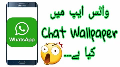Your whatsapp