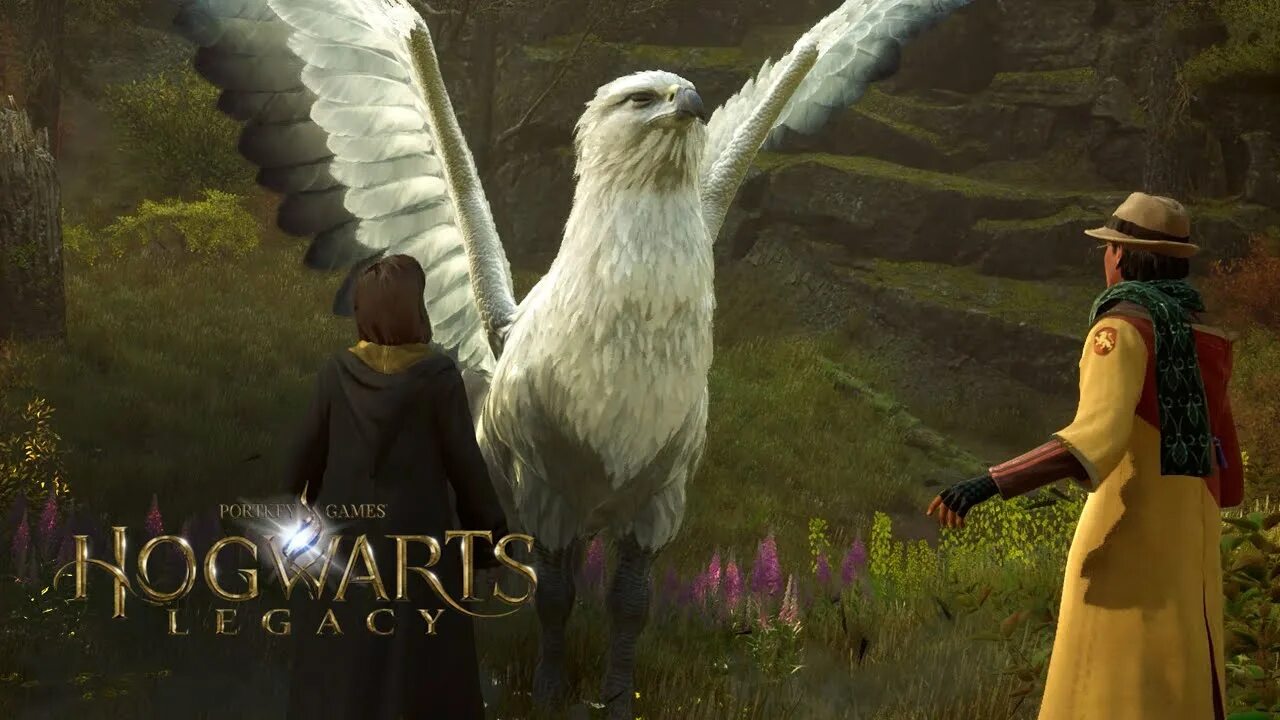 Hogwarts legacy deluxe edition. Hogwarts legacy черный гиппогриф. Hogwarts legacy гиппогриф. Лунтеленок хогвартс легаси. Hogwarts legacy ониксовый гиппогриф.