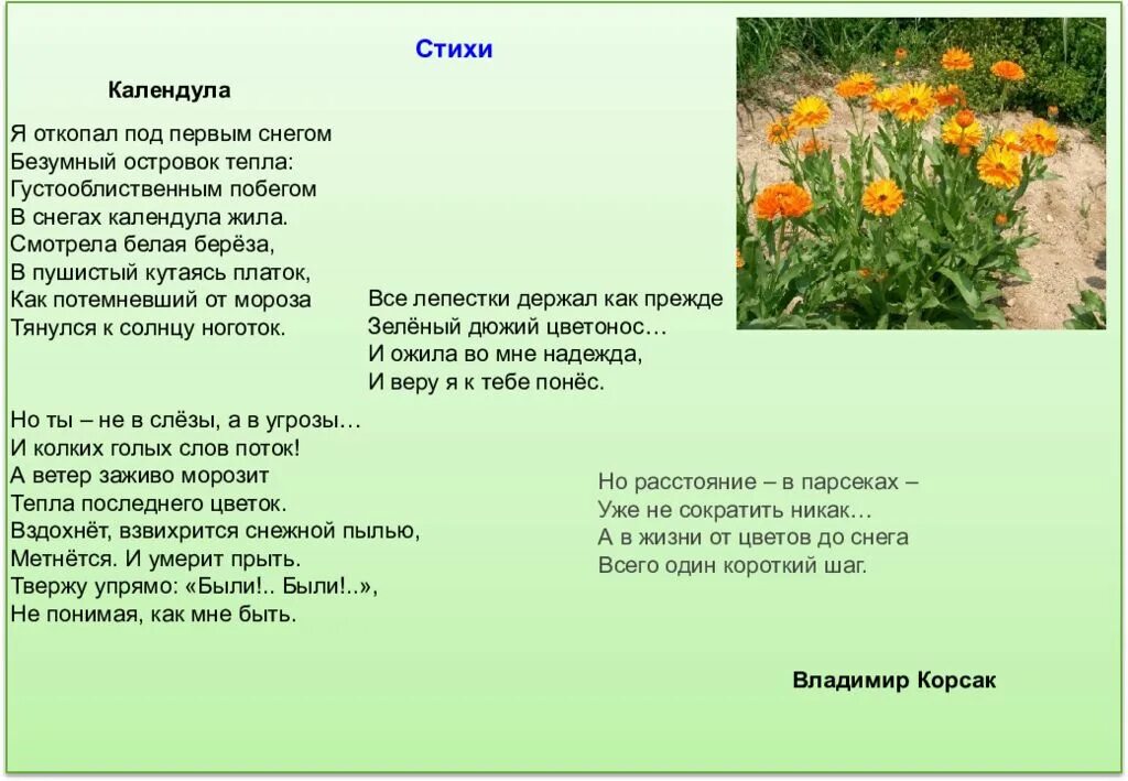 Стихи про растения. Стишки про календулу. Стихи о лекарственных растениях для детей. Стих про траву.