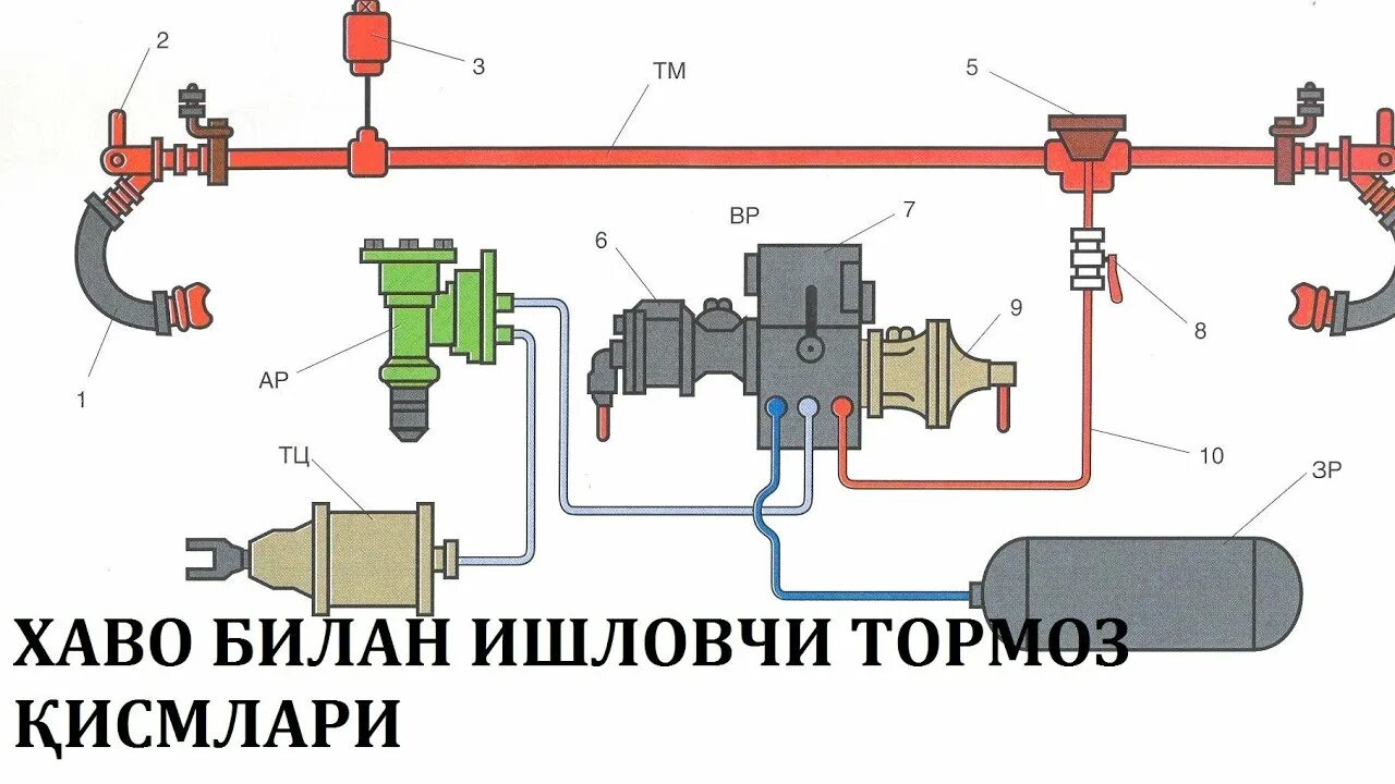 Где расположен тормозной поводок в пассажирском вагоне. Автотормозное оборудование грузового вагона. Тормозная система вагона грузового схема. Тормозное оборудование пассажирского вагона. Схема автотормозного оборудования пассажирского вагона.