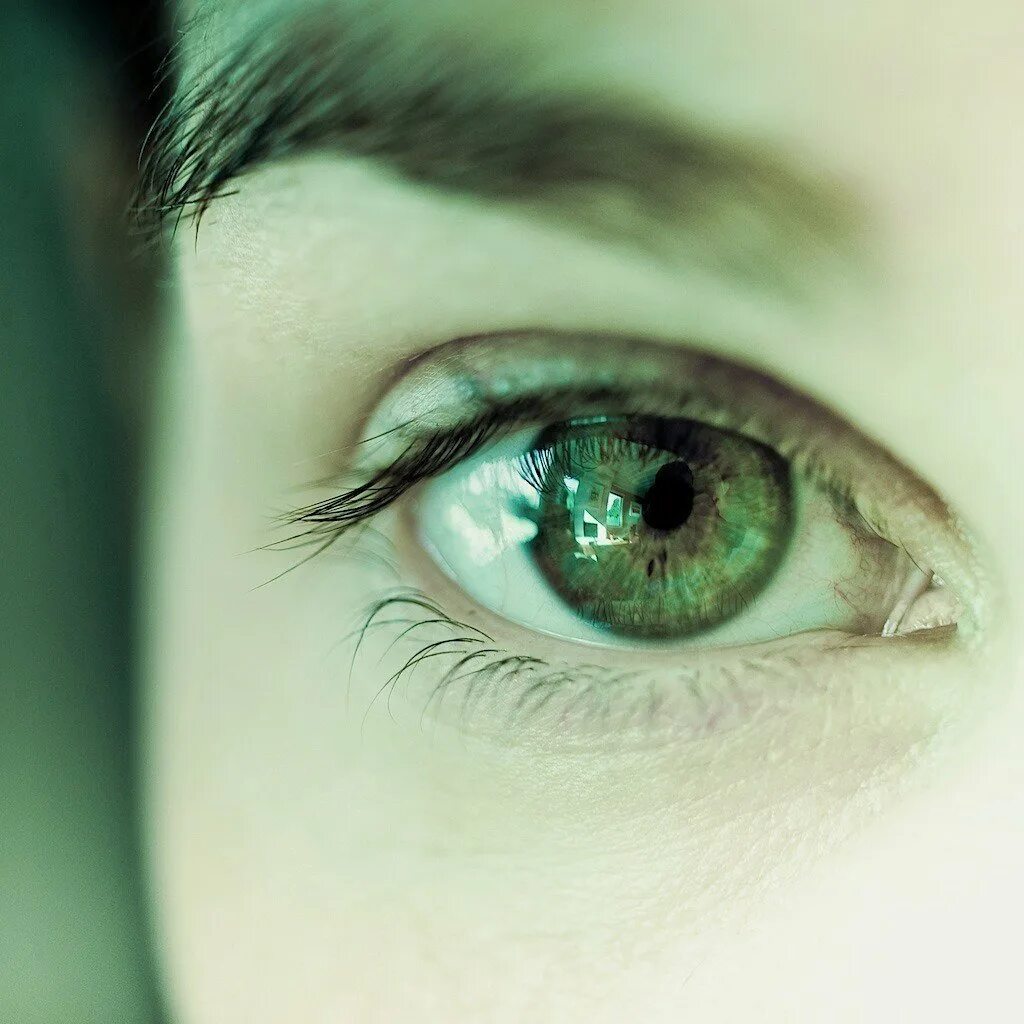 Люди серо зелеными глазами. Зелёные глаза. Изумрудно зеленые глаза. Красивые глаза. Красивые зеленые глаза.