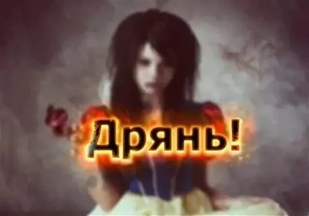 Не знал какая ты дрянь. Девушка дрянь. дрянь картинки. дрянь надпись. картинка с надписью дрянь.