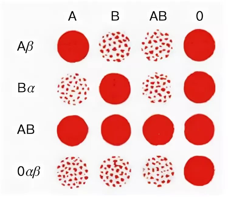 P ab 0. Система ab0 группы крови. Группы крови по системе ab0. Методы определения групп крови по системе ab0. Определение группы крови по системе ав0.