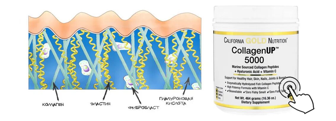 Коллаген картинка. Эланс коллаген морской. Коллаген 2 типа для суставов. Коллаген i типа в костной ткани гидролизуется:. Коллаген гидролизованный гель.