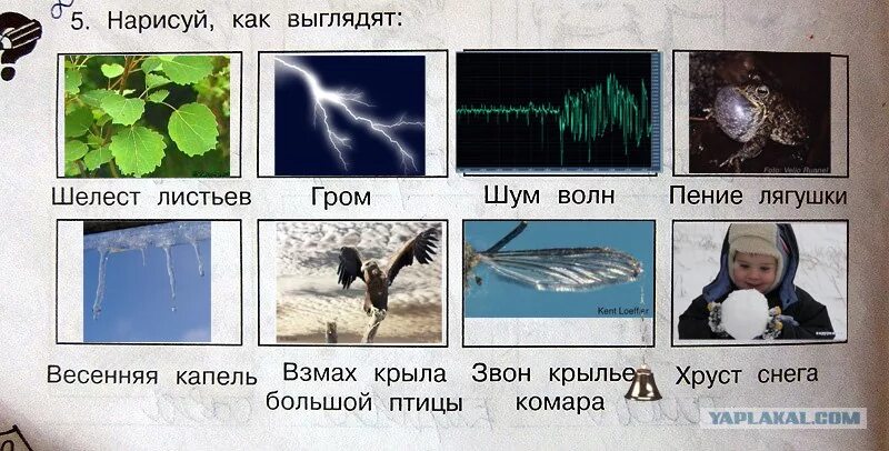 Звон крыльев. Как выглядит звон крыльев комара. Нарисуй как выглядит Шелест листьев. Нарисовать как выглядит Шелест листьев. Нарисуй как выглядит Шелест листьев Гром шум.