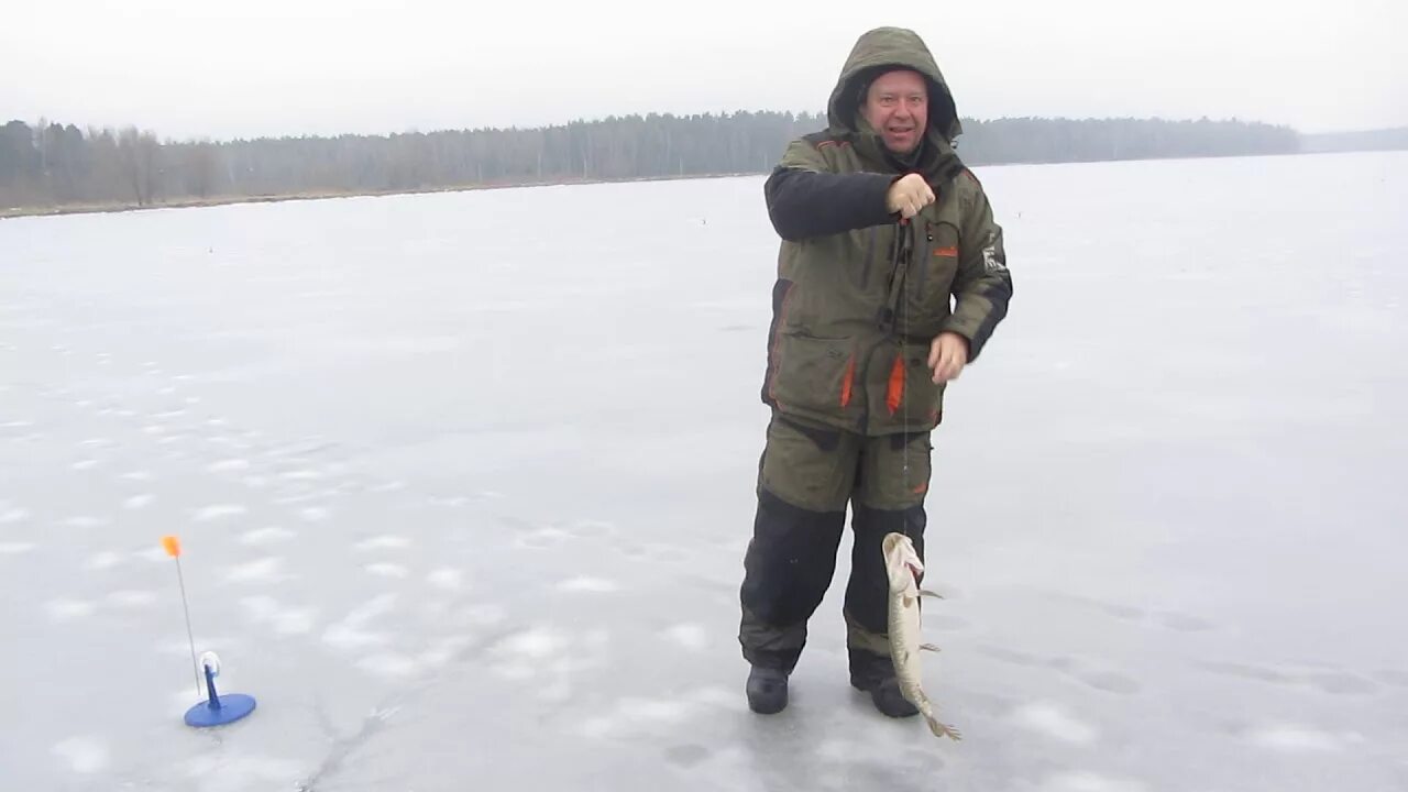 Раменский рыбхоз рыбалка. Раменский рыбхоз рыбалка. Пруд гжелка нагульный рыбхоз. Гжелка платная рыбалка. Раменский рыбхоз рыбалка.