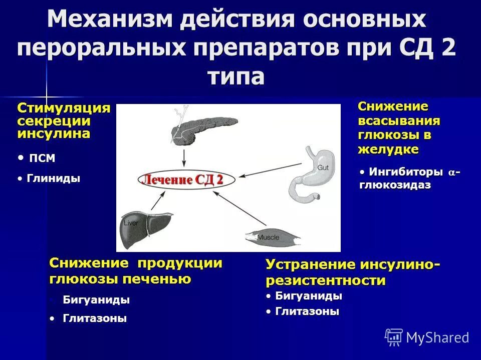 Механизм действия бигуанидов